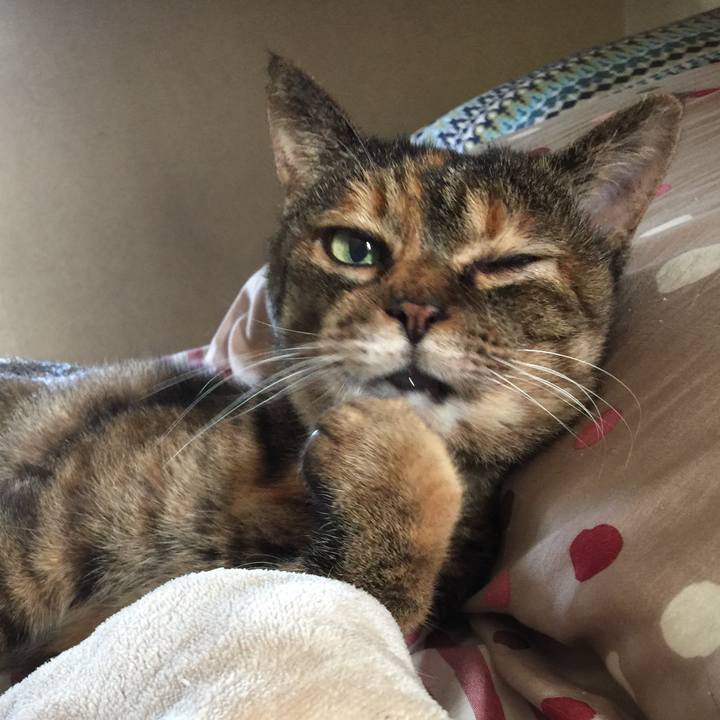 6ea9c90e e297 4a24 b54a 2f9f2b2f4e23 1562480651224