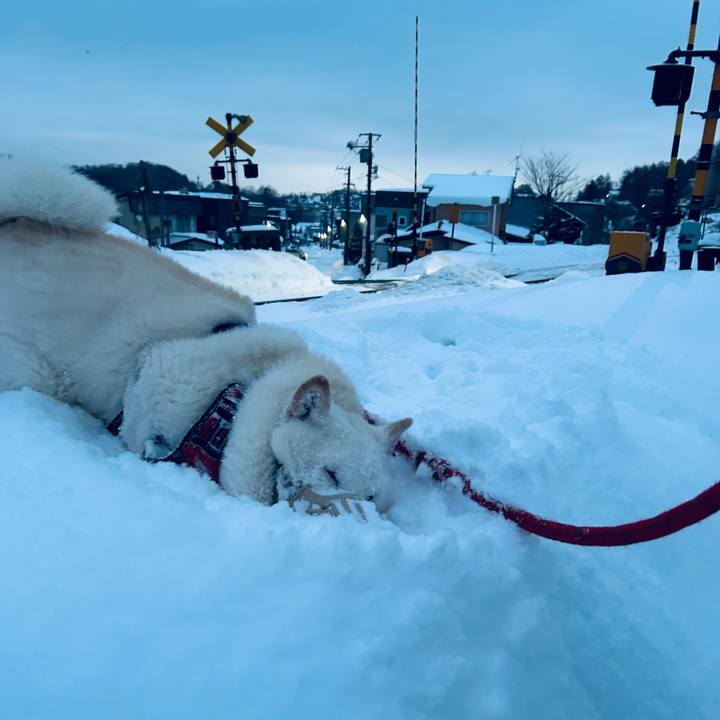 6ea9cd21 2a8e 4ee9 b382 6b2fd80295bd 1768774928289