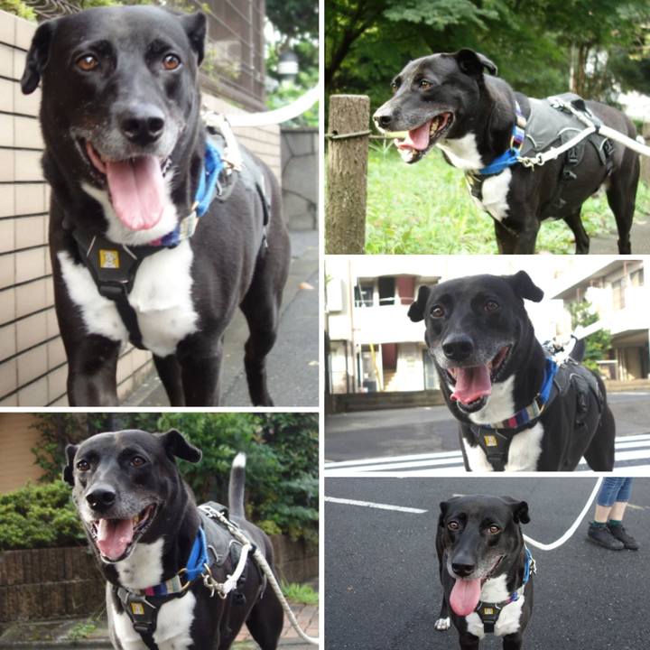 6ea9deab 2f0a 43e1 bbef 966523d56ea4 1663546411842