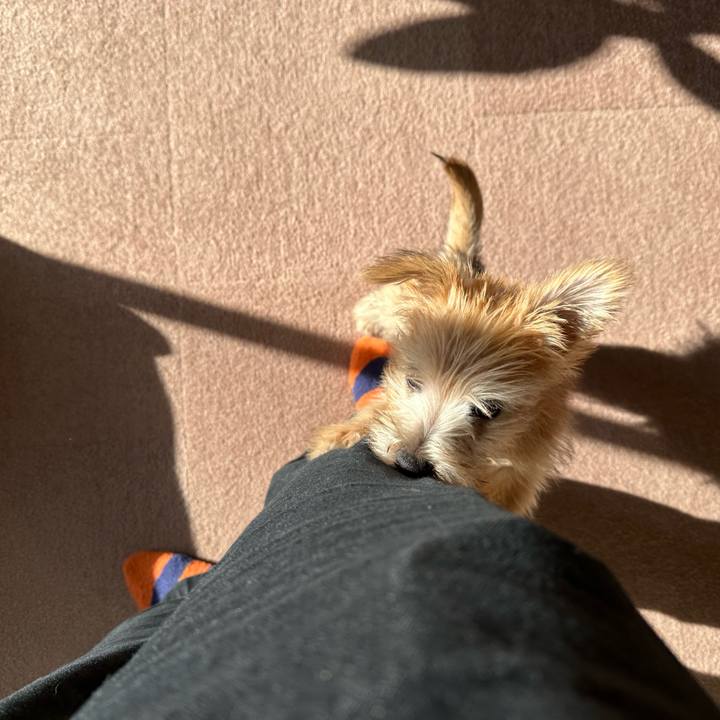 6ea9ea77 fe9c 4438 acb9 9f35836c2394 1702542509245