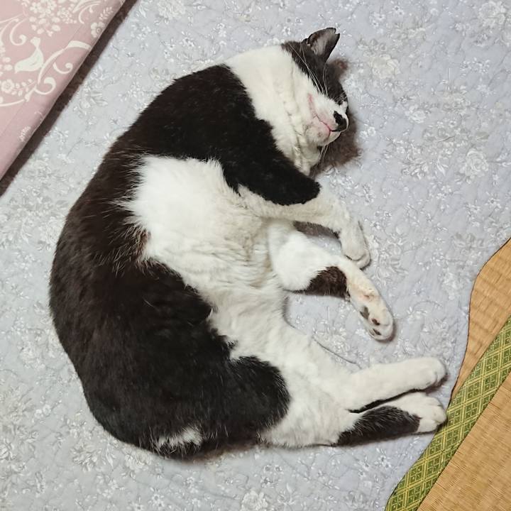 6eaa1807 eb58 41b7 8bad d250545ea332 1653216797883