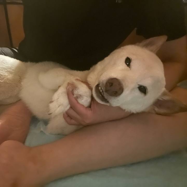 6eaa19f8 e52d 423a 97a2 95fac3976a2d 1656081174737