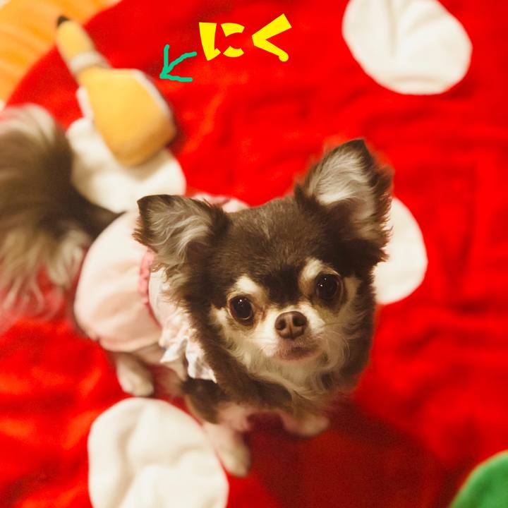 6eaa6d43 435a 42d5 855b 6b2880630fec 1562891358181