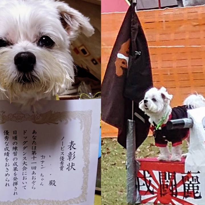 6eaaa633 17d9 4e5b 9966 66d7ed69a87e 1699714724492