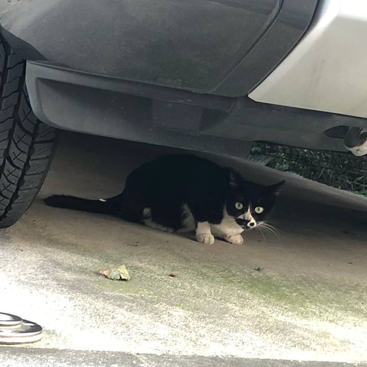 6eaaa9ea 4df2 4a6d a984 7d79e664bc72 1533242466079