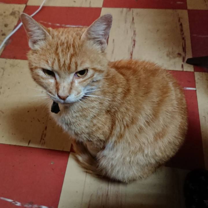 6eaaaa48 d3c6 40e3 afef 8641b4637557 1560802140373