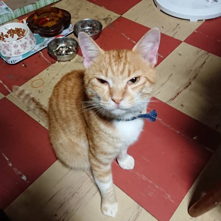 6eaac737 a655 4463 a0ab 4ef06ff7eafb 1564257418668