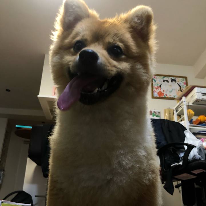 6eaae4e7 abb2 49ff be97 a97bf7c434fa 1594473041791