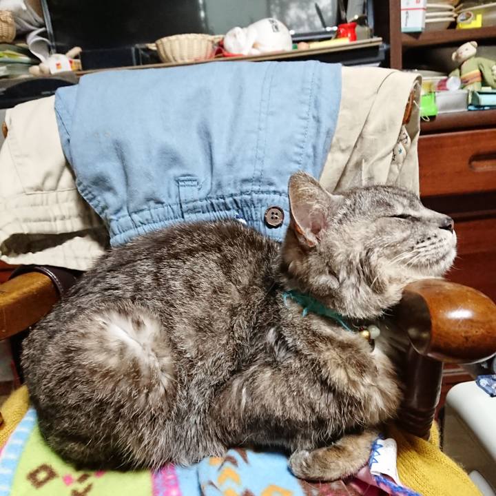 6eab03b5 40aa 4a07 b0c2 01e319544671 1564776376237