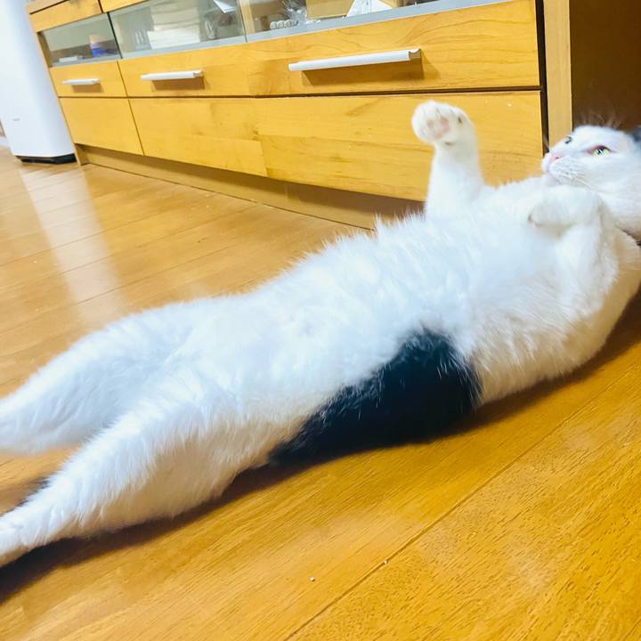 6eab1d83 6463 4302 be46 36c36710de31 1695857093043