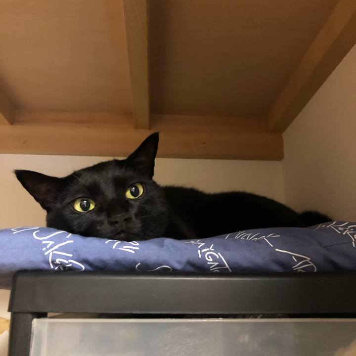 6eab2d4c 2243 4fbf b33e b49633a1ca6b 1574347082147