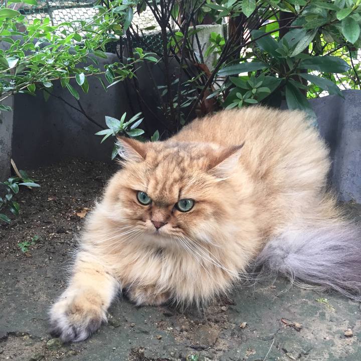 6eab6416 6810 4572 aee1 ee97a339dbc0 1535065417048