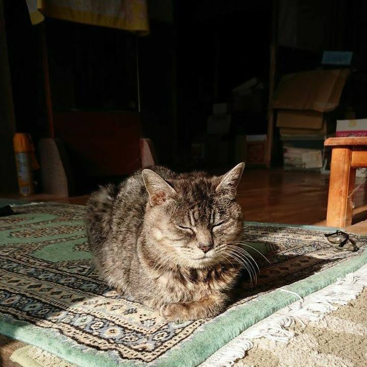 6eab746d edec 4fd1 9e45 57b9aff8ab34 1577583514609