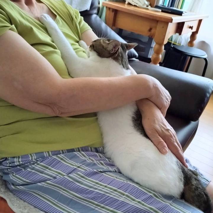 6eab9e72 bcfa 4509 a053 b7b119bb9432 1722223491488