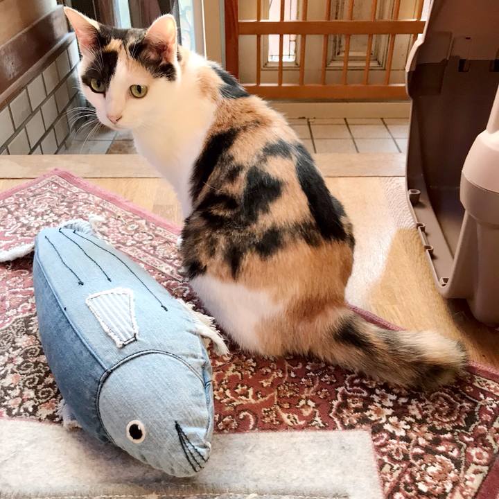 6eabc2bb 0858 4a44 b800 dd1314aa0b65 1537416800579