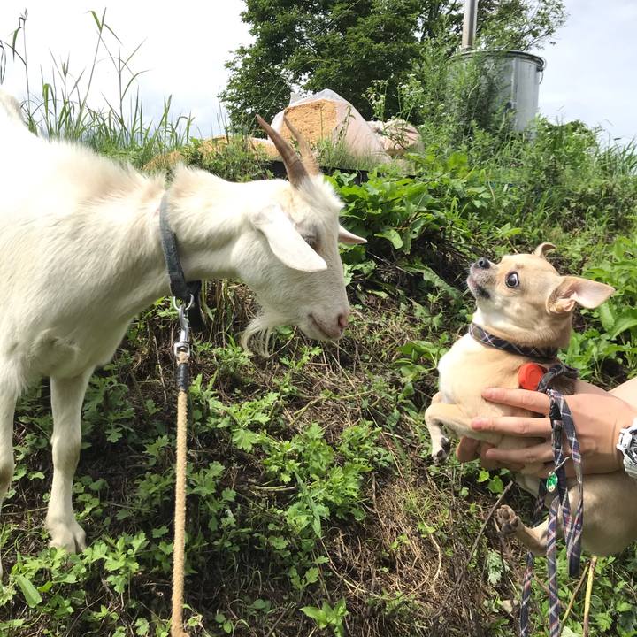 6eabcc6e 685b 4116 b9ca 72cec2dda9d6 1562399671331