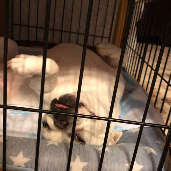 6eac0e23 1172 4f36 82a8 657db43a42af 1562334521343