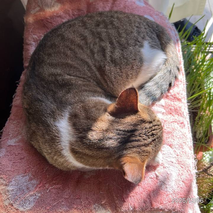 6eac152f 8a98 416d b6d4 493db96c5400 1764986251018