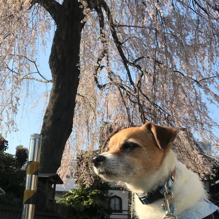 6eac3363 0603 448c b0e1 b272e015cad4 1522285778064