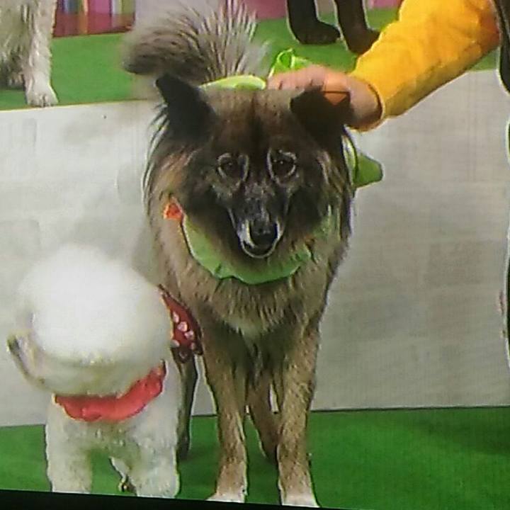 6eac4edd b30d 468e a21c 485a6f435761 1514968676961