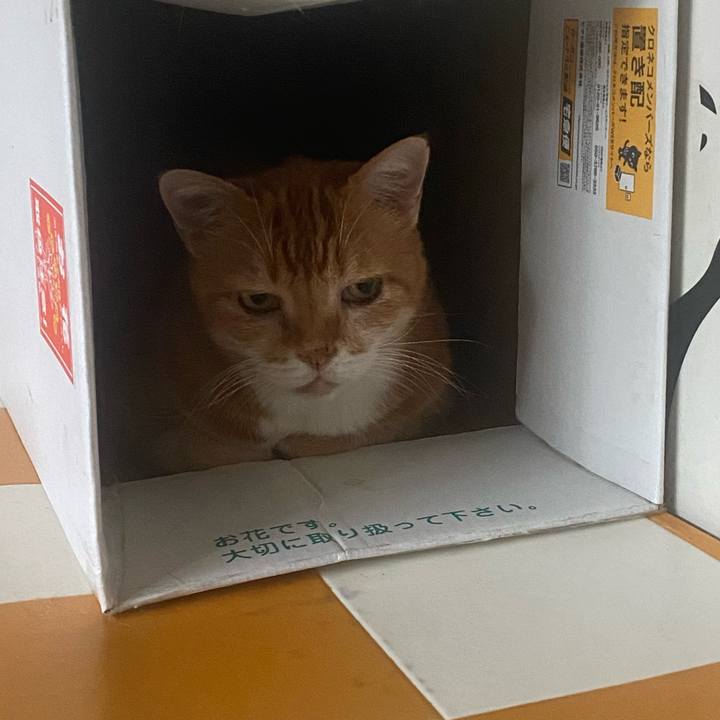 6eac731c b622 419f 9520 778fac202500 1760146388178