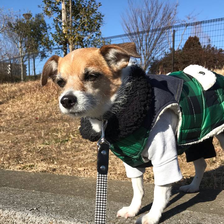 6eac7a98 66dd 48a4 8b89 ef653974e20f 1548293891810