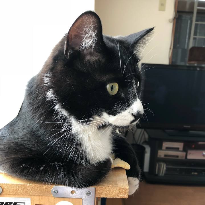 6eac82a8 7d1e 4d75 a069 297e083388c4 1525419203679