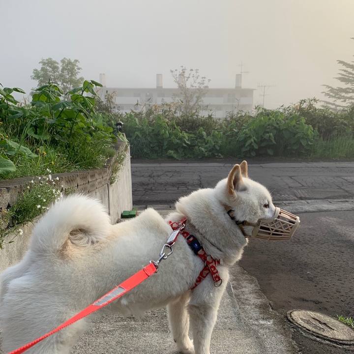 6eacd456 c1f0 41b8 97e9 6c032108a121 1558472415767