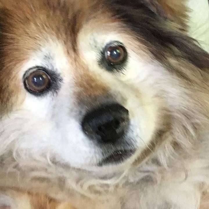 6eace63a 9cb2 4233 a3c9 58eb63bcaa69 1576024658492