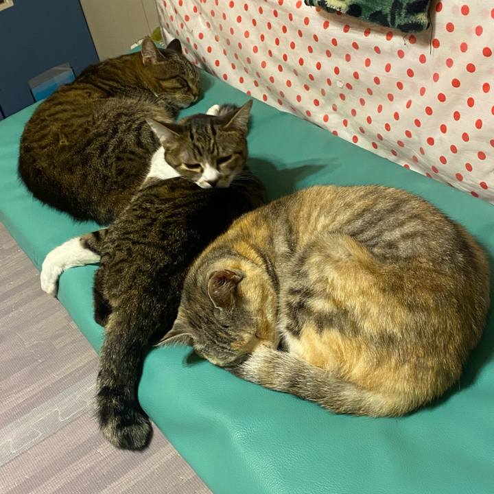 6eace793 a55a 4b63 ab96 6a3cb4a5a4f0 1615638349870