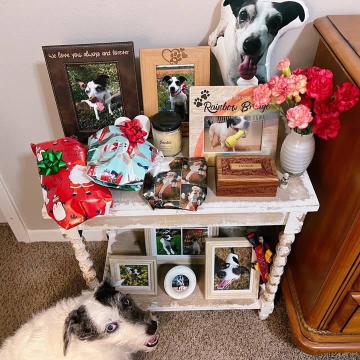 6ead00db f220 44a6 8486 7cbb25323519 1671241777599