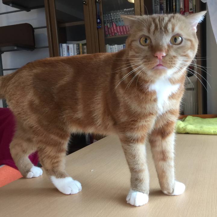 6ead45f7 1251 4183 b4db 8e9c86e9eae7 1524610373861