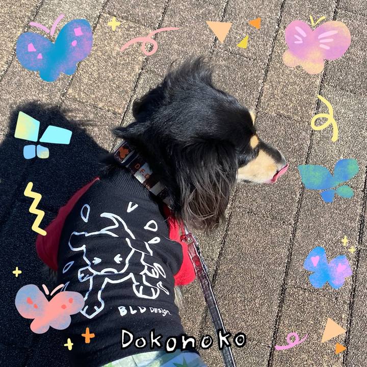 6ead4736 4d03 4fca 8c4c 54a569f2dc57 1711002406916