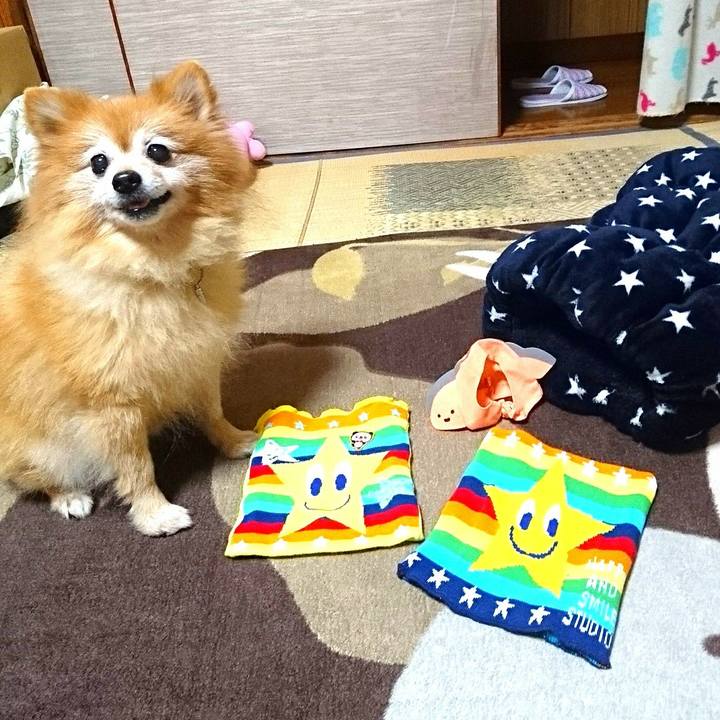 6ead677b 211f 4fde 9da1 c3bc0273d1bf 1510215362042