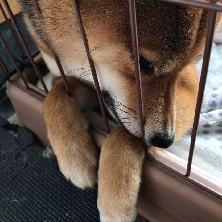 6eadb7f9 ef6c 459d 9253 511885763d7c 1519034307105