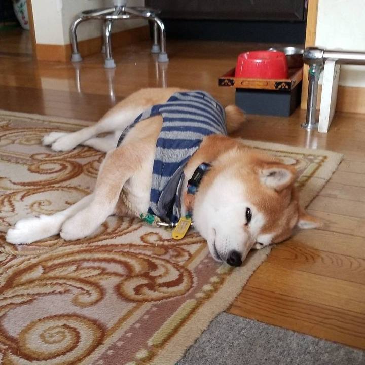 6eadc605 a85a 4b6d 93b2 846fbb254ceb 1582180927162