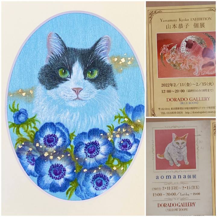 6eaddce8 97e3 4ab7 93d9 8b32e99bc16f 1643967359303