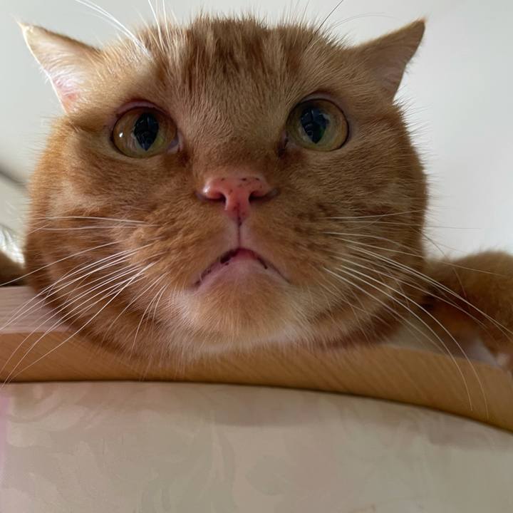 6eade06e 45c2 4e85 9fc3 595b595f0cb6 1625288314347