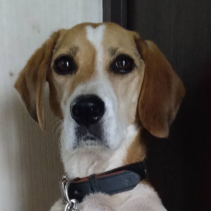 6eadef7e 464b 4c35 a024 567445f7d599 1660656987267