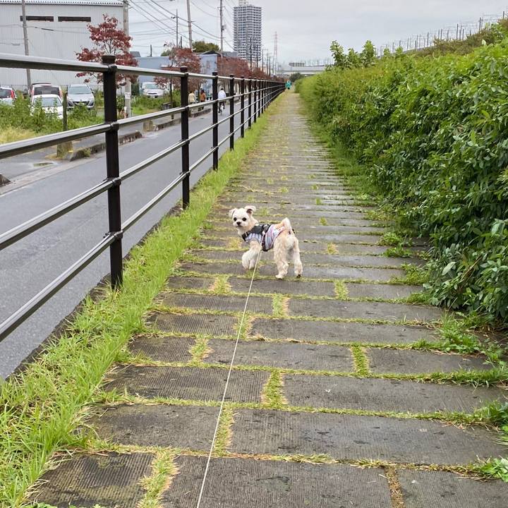 6eadfc15 c916 49d5 8941 8f6b5a35d045 1571731024989