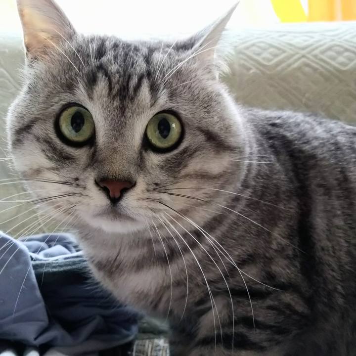 6eae4e45 27ee 4c4d a67c e722cfef905c 1580363368557