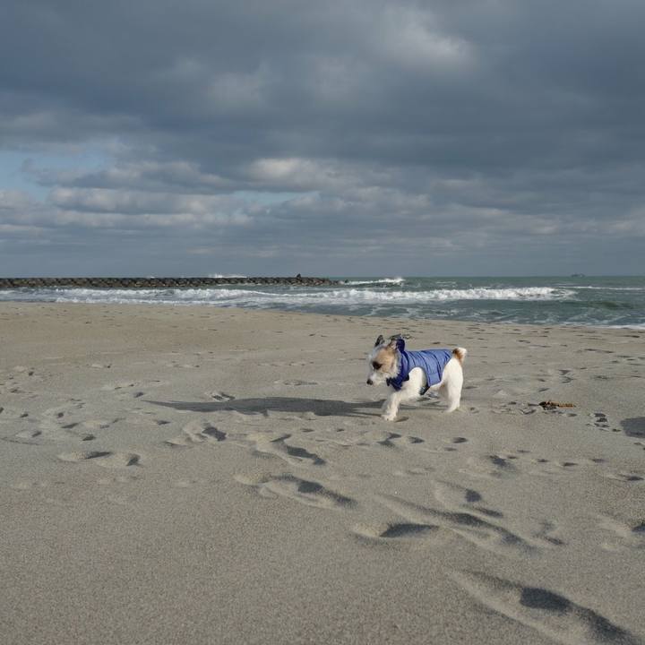 6eae809b b75e 4130 bb7b e9b175a808e5 1520397089277