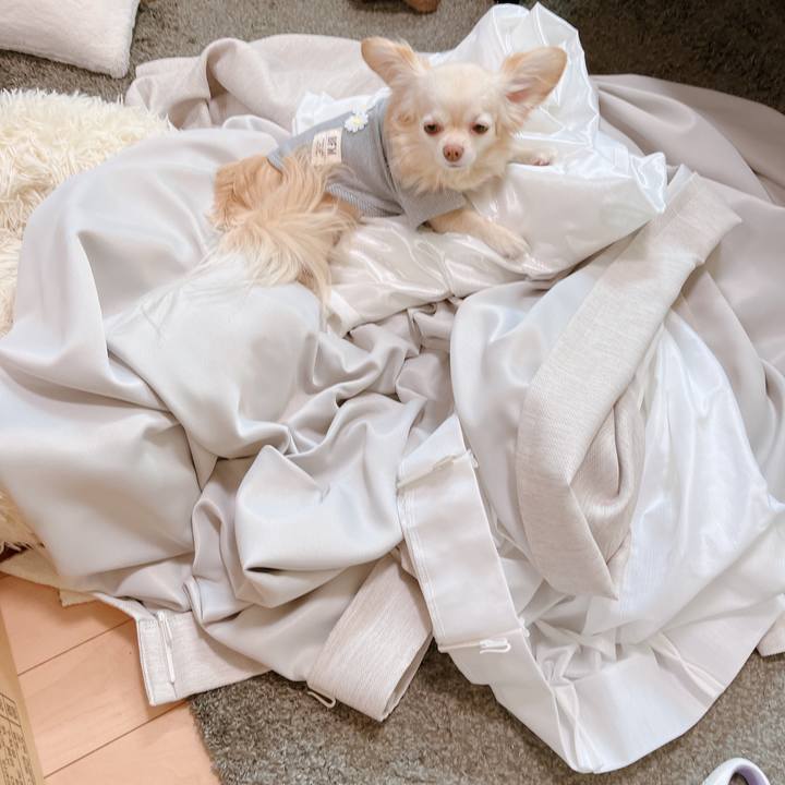 6eaea6fe 809f 4307 a8d3 e56d15aa4304 1682912735468