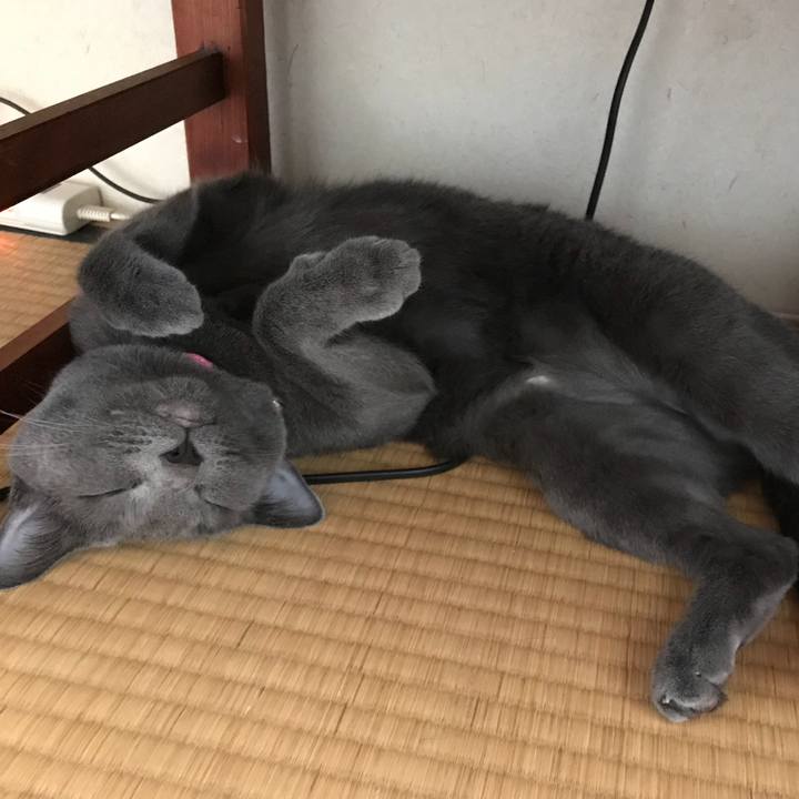 6eaeb8aa c907 4684 8fcc 8a03153ebba7 1532933931915