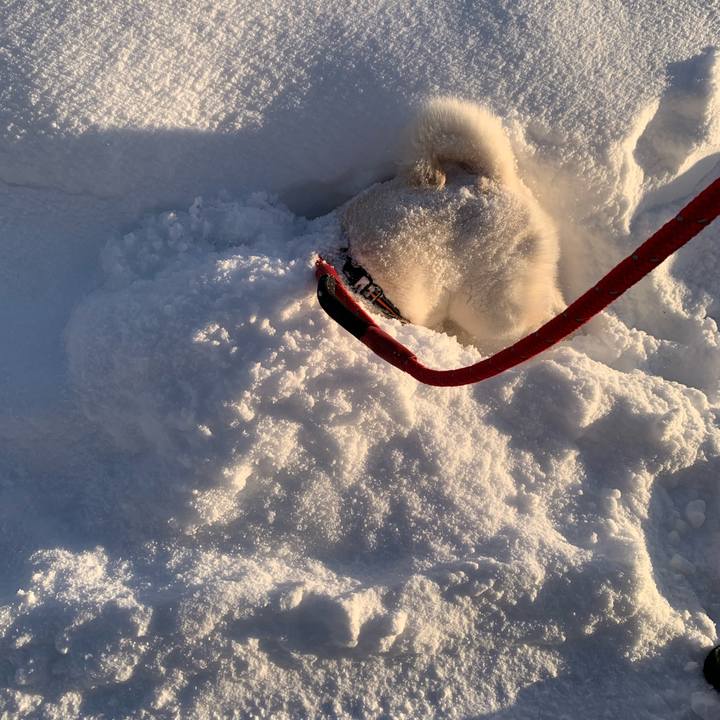 6eaed111 bfb2 4b94 82e2 e538f27f2007 1674861309330