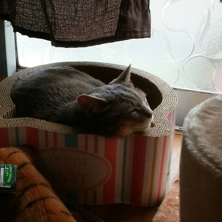 6eaf3b47 5fd8 4d90 9875 bb0d80c45195 1526098167177