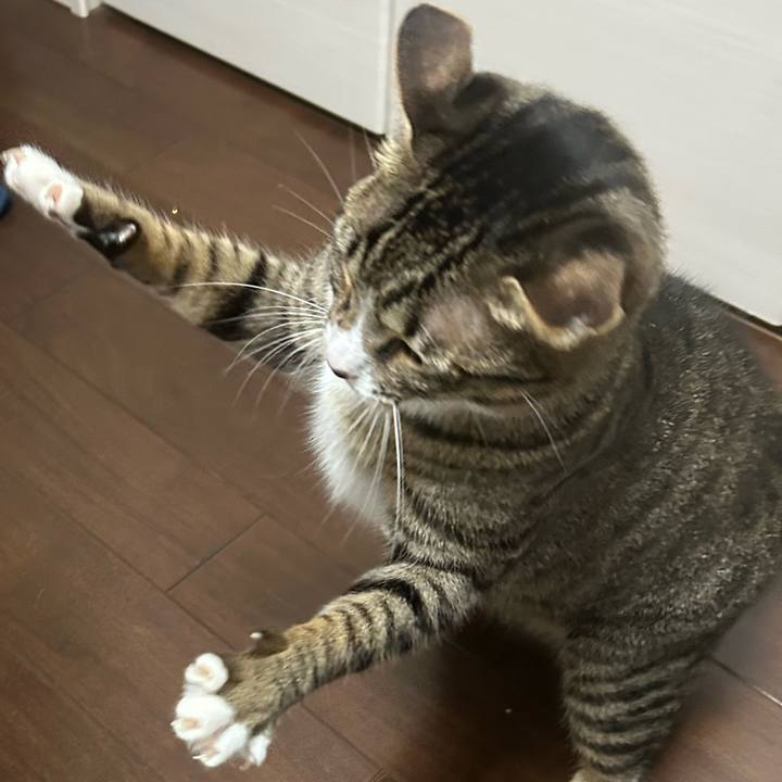 6eaf6326 14d0 4465 97fc f99f0c058793 1760690011523