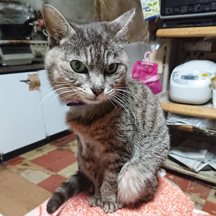 6eaf80c0 c9b8 4b44 a43f ea3c231c0764 1587672121600