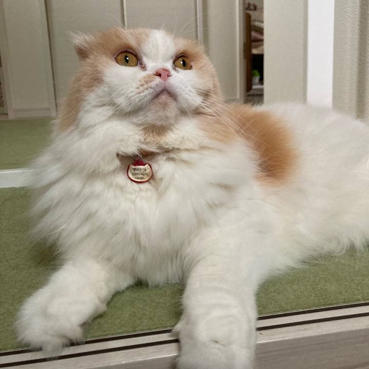 6eaf83ee a4a4 4ceb 9ea8 2581616761a2 1663500017460