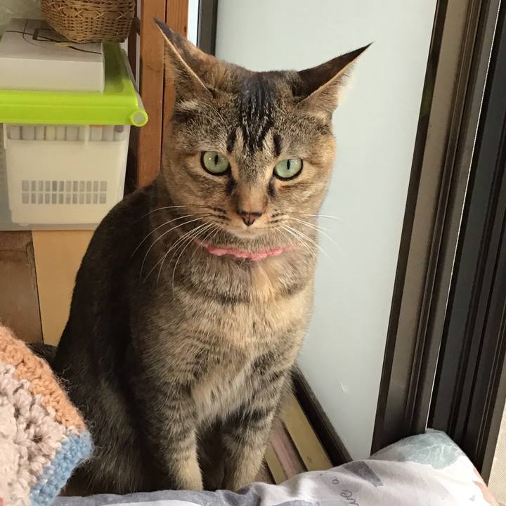 6eaf9d37 9008 4e5b af38 efb1b849734b 1614844734238